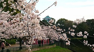 名古屋ワイン会　名城公園